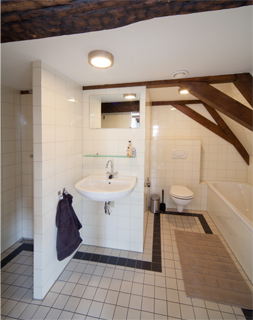 loft-Amsterdam-bathroom